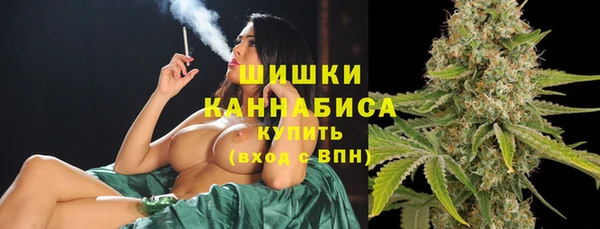 молекула духа Инта