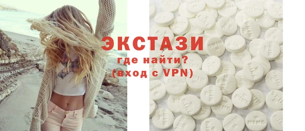 ECSTASY Инсар