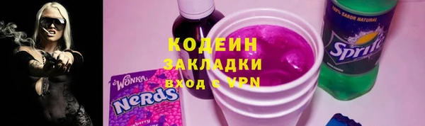 круглые Иннополис