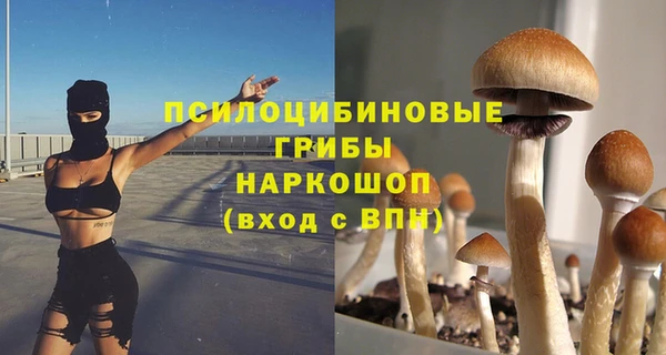 круглые Иннополис