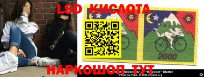 шишки Абинск