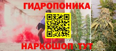 индика Будённовск