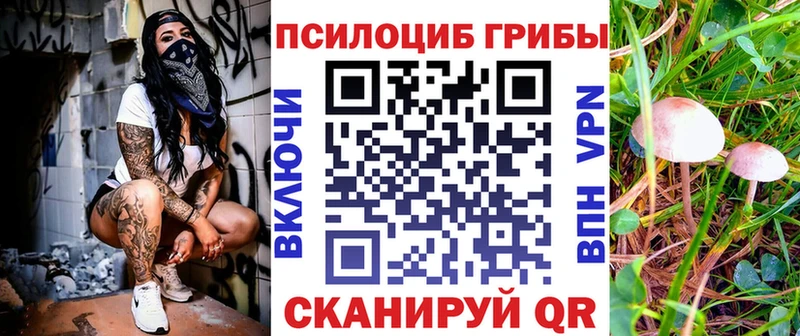KRAKEN как зайти  Тейково  Галлюциногенные грибы прущие грибы 