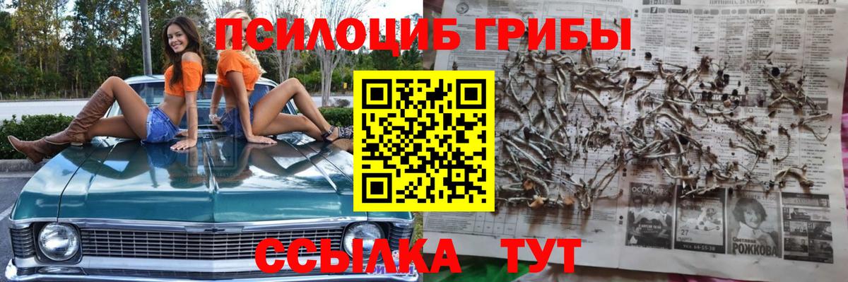 Тейково  Псилоцибиновые грибы GOLDEN TEACHER  Вход с VPN 