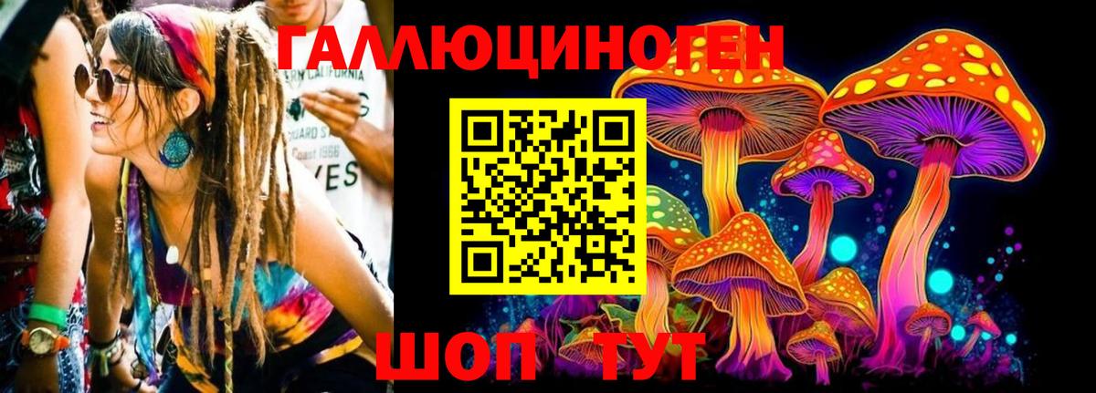 Галлюциногенные грибы прущие грибы Тейково